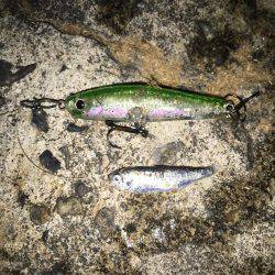 プラッキングオンリーで頑張るつもりが……