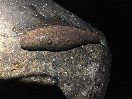 まさかの・・・！