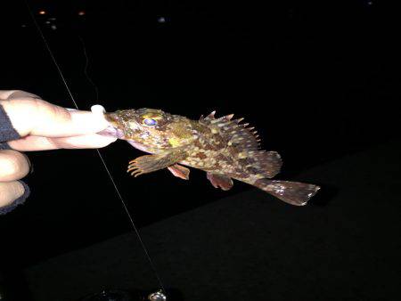 メバリンググー