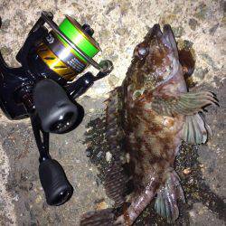 メバリング・ガシリング