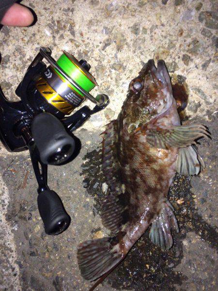 メバリング・ガシリング