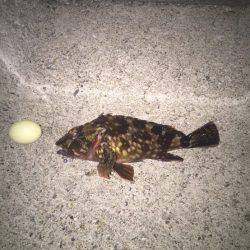 フロート→プラッキング