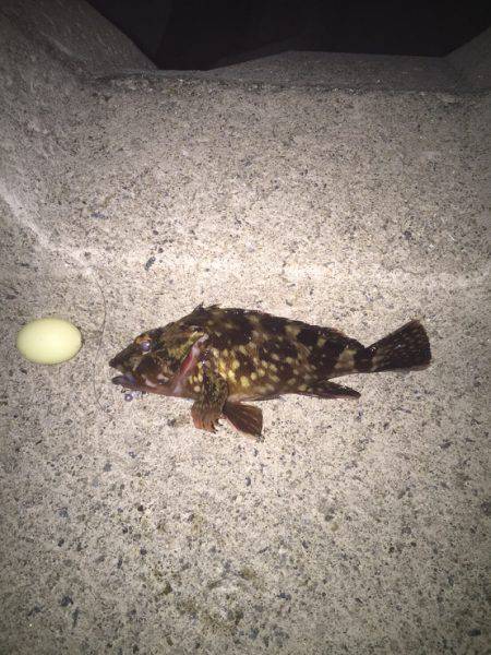 フロート→プラッキング