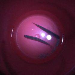 聞いてたのと違う！