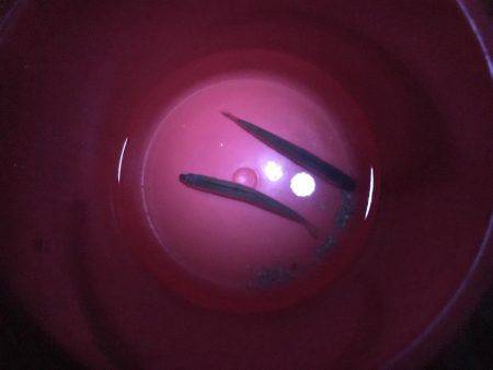 聞いてたのと違う！