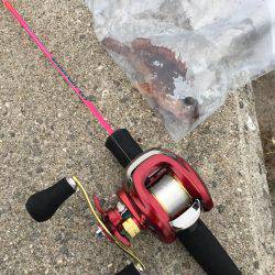 なんとか1匹囧rz