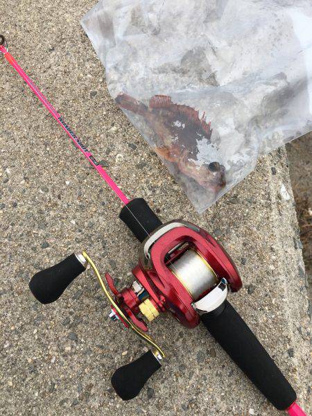 なんとか1匹囧rz