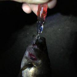 仕事終わりに…