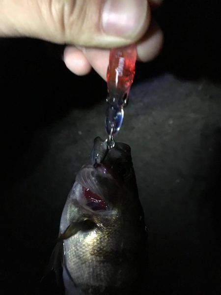 仕事終わりに…