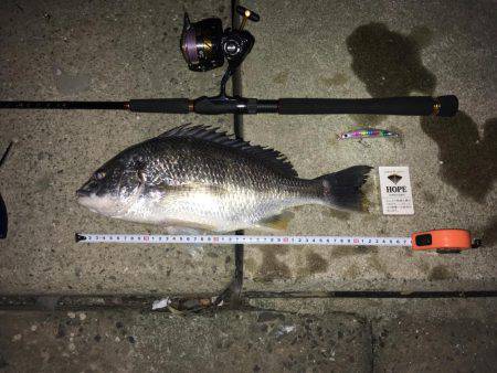 シーバスとチヌ狙いが…