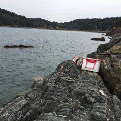 乗っ込みチヌ磯フカセ釣り