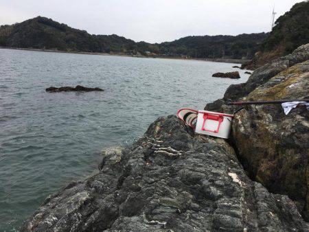 乗っ込みチヌ磯フカセ釣り