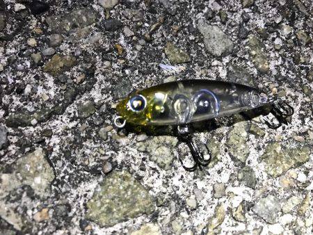 強風プラッキング