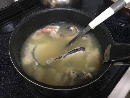 ガシラ釣れました