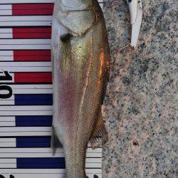 かぶと山公園にて