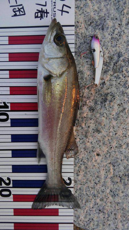 かぶと山公園にて