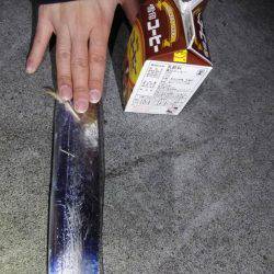 焼津　石津浜、ふぃっしゅーなで太刀魚