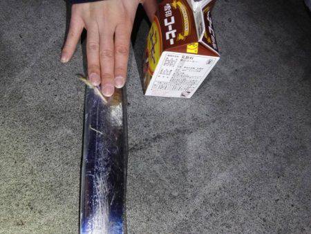 焼津　石津浜、ふぃっしゅーなで太刀魚