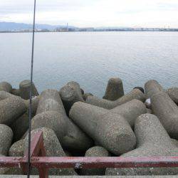 釣れれば、いいじゃん！