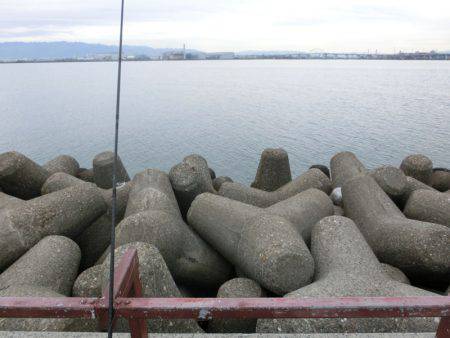 釣れれば、いいじゃん！