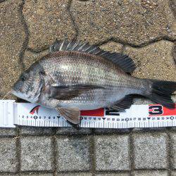 本命キタコレ!!