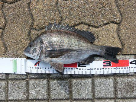 本命キタコレ!!