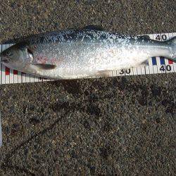 鳥取遠征。1日目