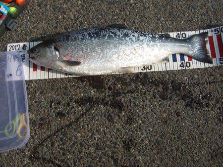 鳥取遠征。1日目