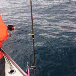 EBISUさんで親子揃って鰤ゲット