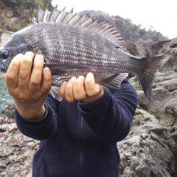 ひさしぶりの香住で、いろいろ釣れた。