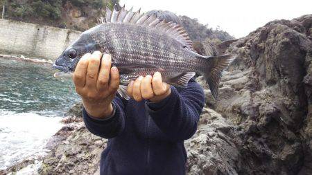 ひさしぶりの香住で、いろいろ釣れた。