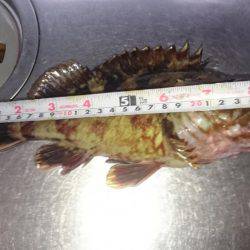 メバリングのつもり