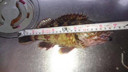 メバリングのつもり