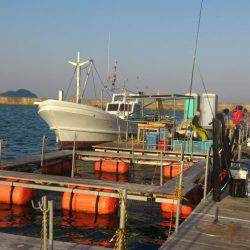 海上釣り堀湯浅でカンパチ、ヒラマサ狙い