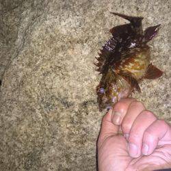 江井ヶ島にて延長戦！