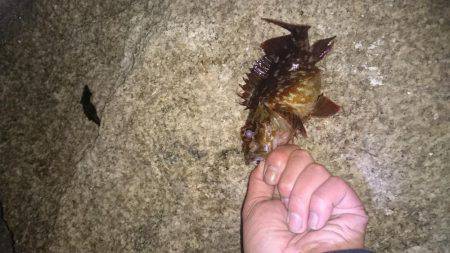 江井ヶ島にて延長戦！