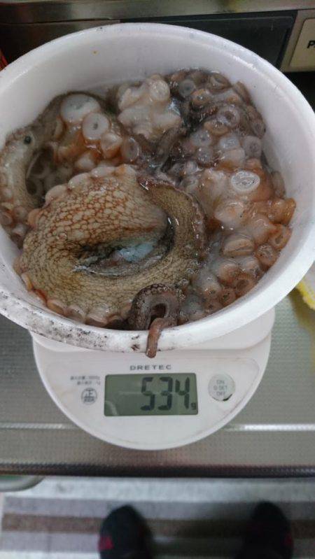 久しぶりのタコ