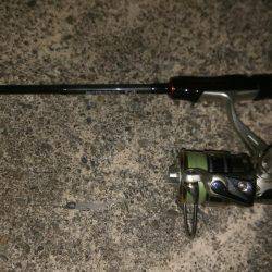 やっと出会えた