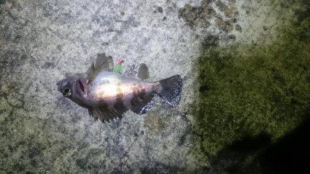 何が違うのか？