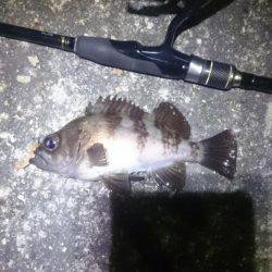 風があろうが。