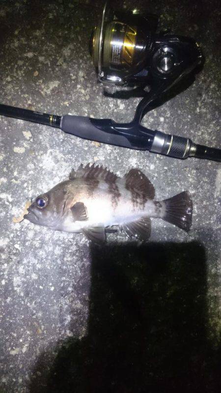 風があろうが。