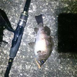 よくなってきたかな?