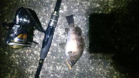 よくなってきたかな?