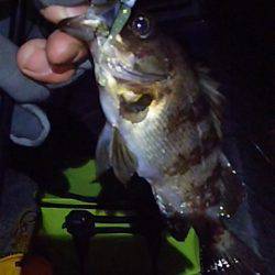 なかなか難しい