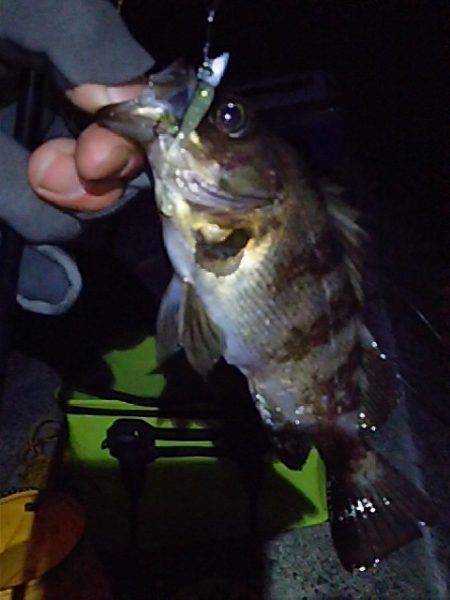 なかなか難しい