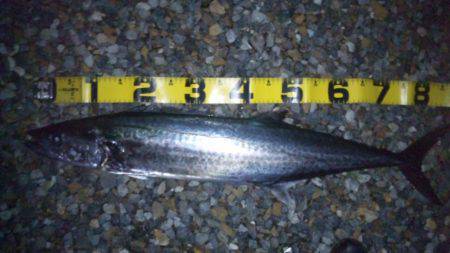 ショアジギング釣行