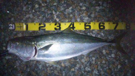 ショアジギング釣行