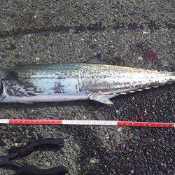 今だけの特別な時間