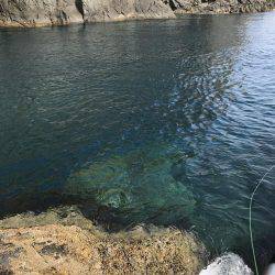 宇和島沖磯グレ