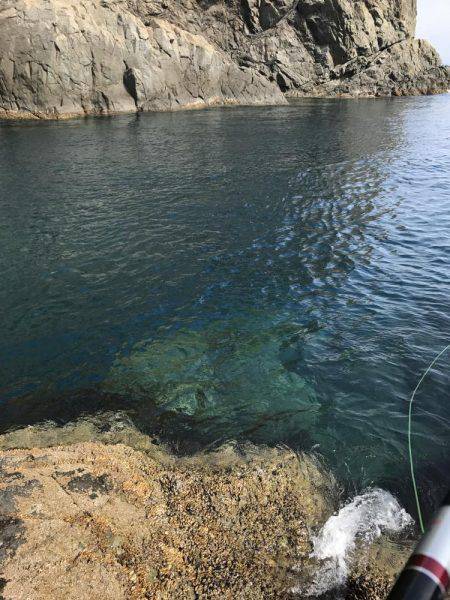 宇和島沖磯グレ